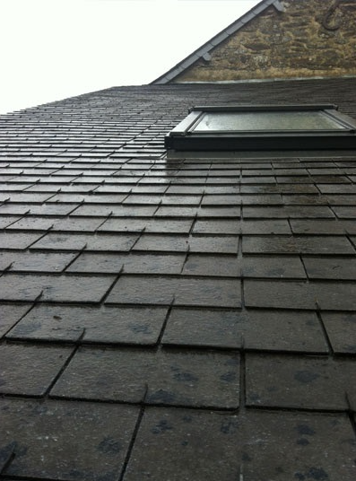 Toiture avant nettoyage